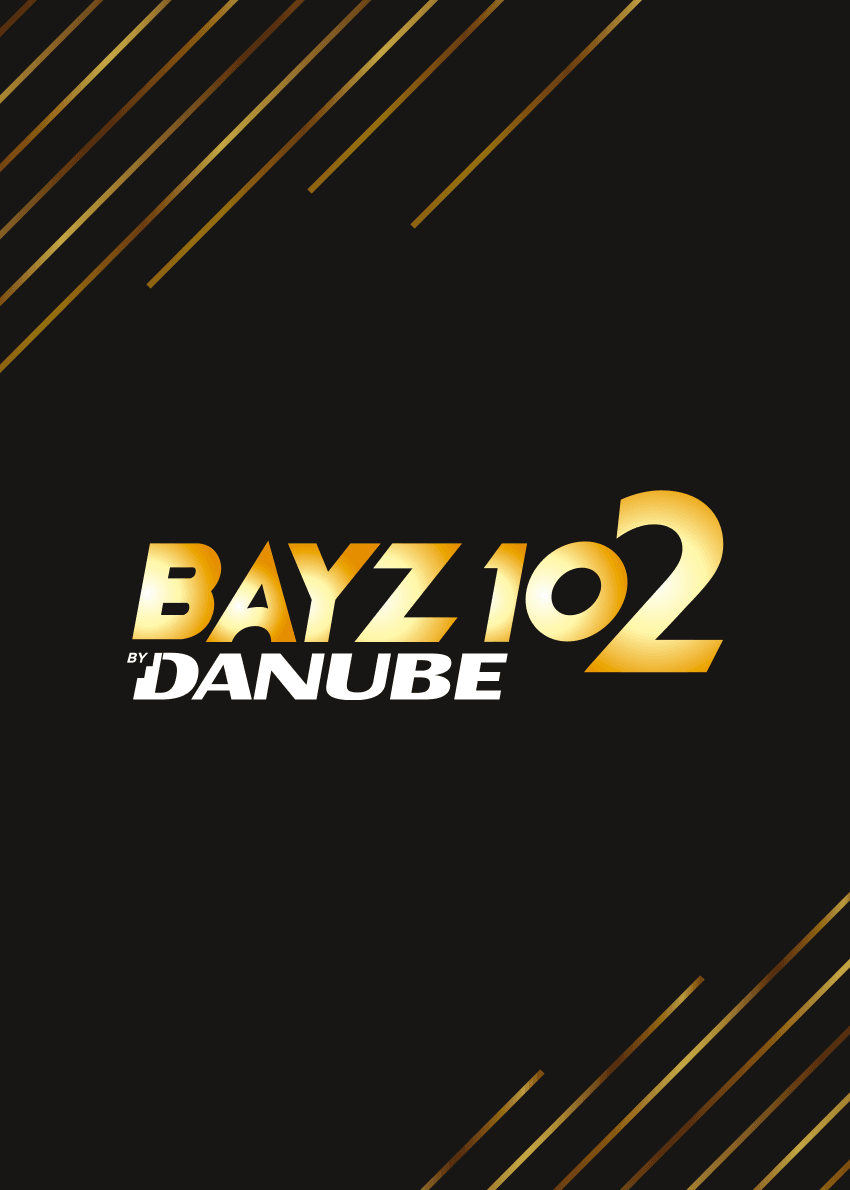 Marketing material image Bayz_102_brochure_EN.pdf